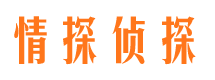 青原市婚姻调查